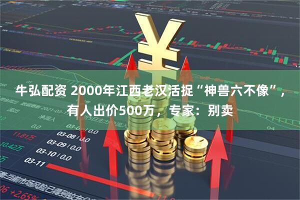 牛弘配资 2000年江西老汉活捉“神兽六不像”，有人出价500万，专家：别卖
