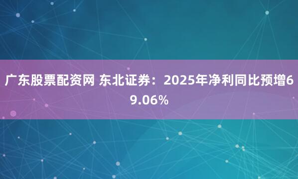 广东股票配资网 东北证券：2025年净利同比预增69.06%